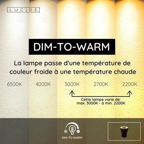 Lucide MR11 - Ampoule led - Ø 3,5 cm - LED Dim to warm - GU10 (MR11) - 1x4W 2200K/3000K - Noir - USP